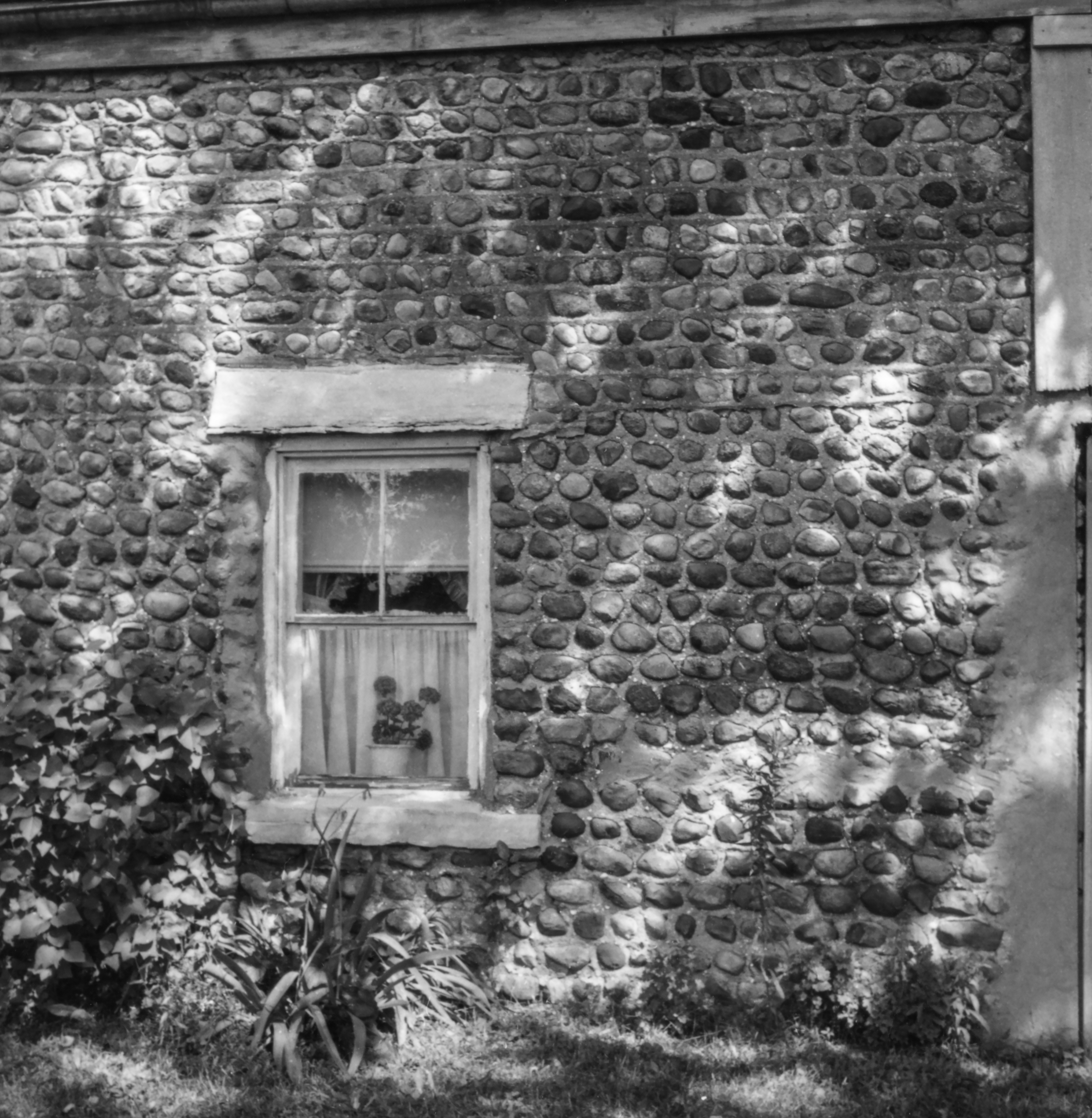 GP Seneca Junius Jun-10 2-1 P